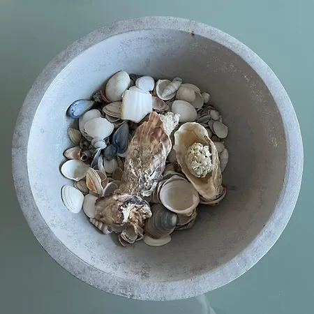 Julieze At Sea & Pool Ostende