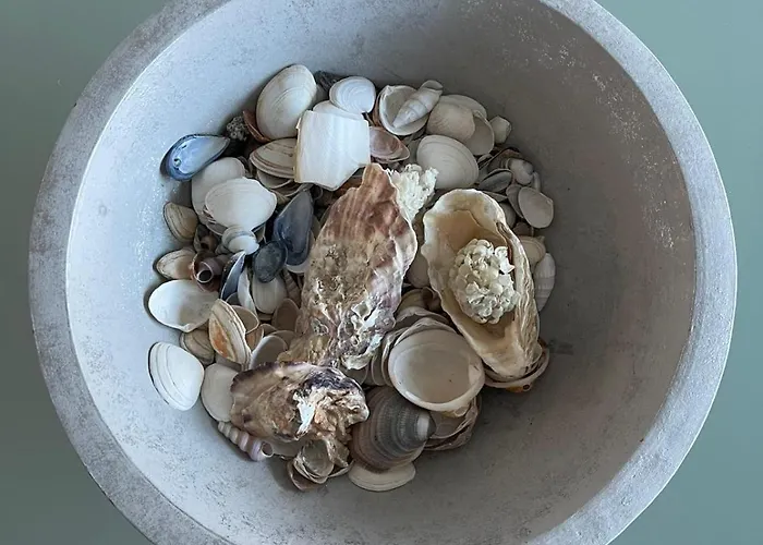 Julieze At Sea & Pool Ostend